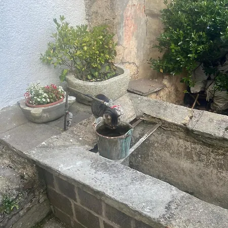 Il Brolo