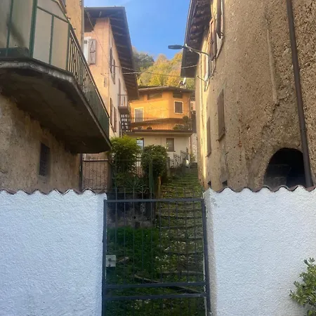 Il Brolo Avenone